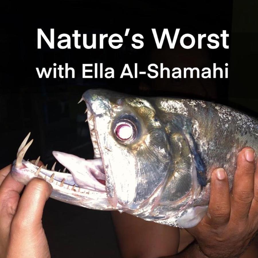 Nature's Worst with Ella Al-Shamahi (WIP)