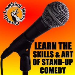 About Comedy: Stand-Up Comedy Courses